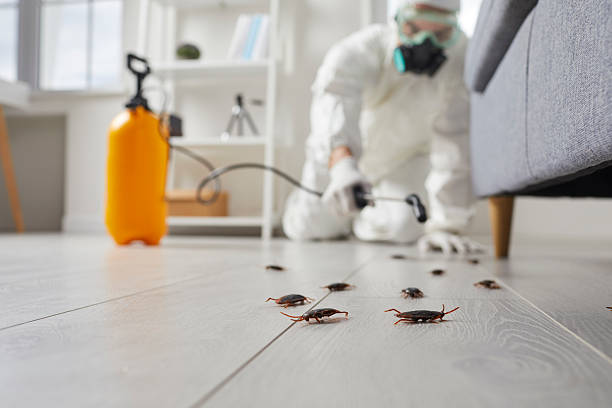 Trusted Fumigation Services service in Taos Pueblo, NM - Nex Pest Control